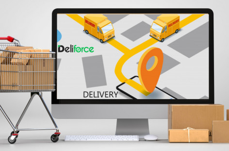 Parcel Delivery Software